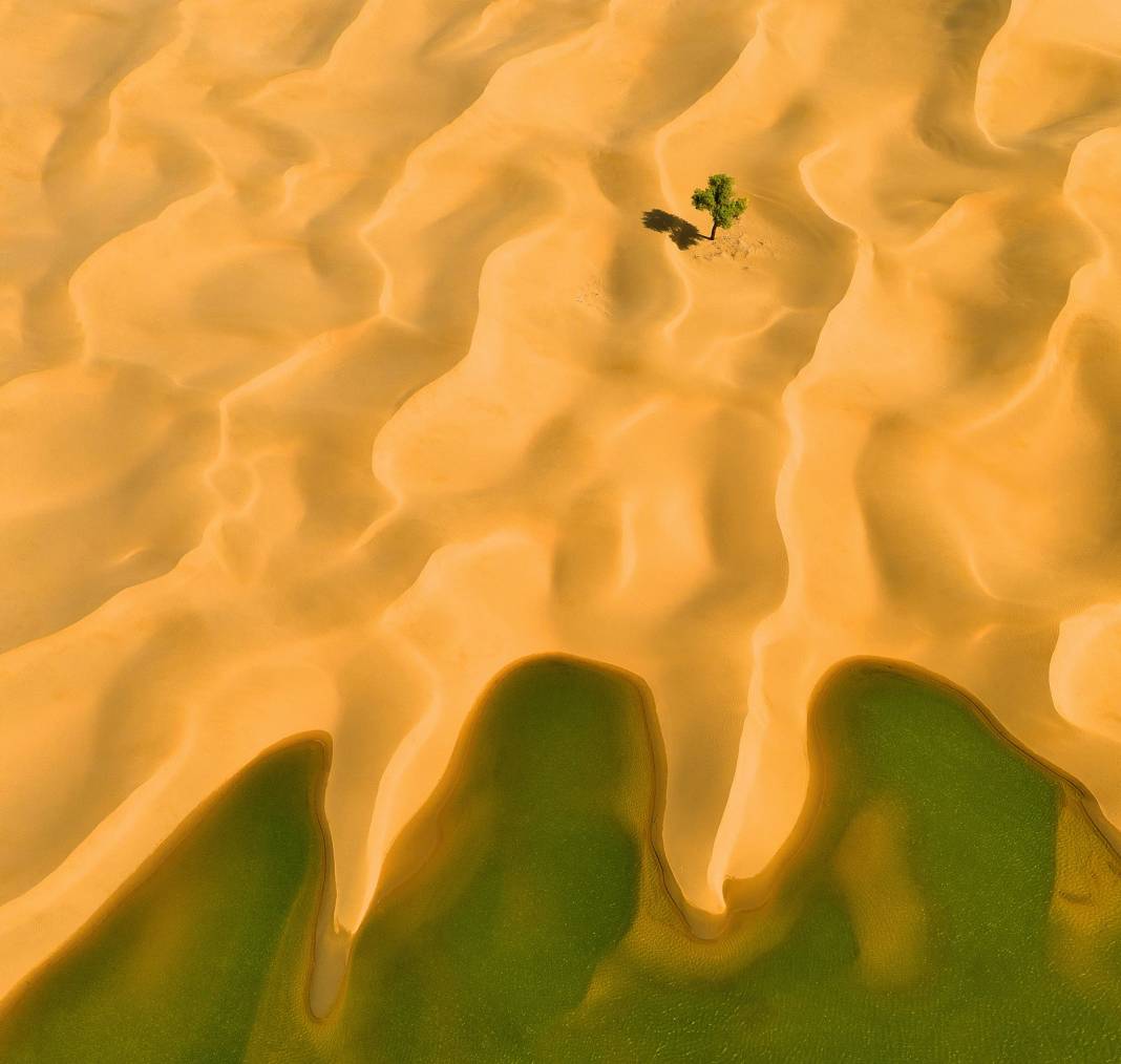 Akşehir Fotoğraf Amatörleri Derneği (AKFAD): “Fotoğrafta Minimalizm” Kazananları 4